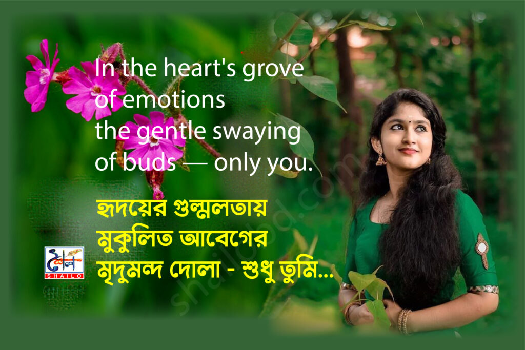 shailobd.com