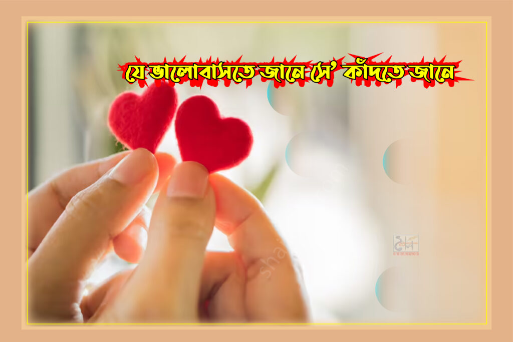 shailobd.com